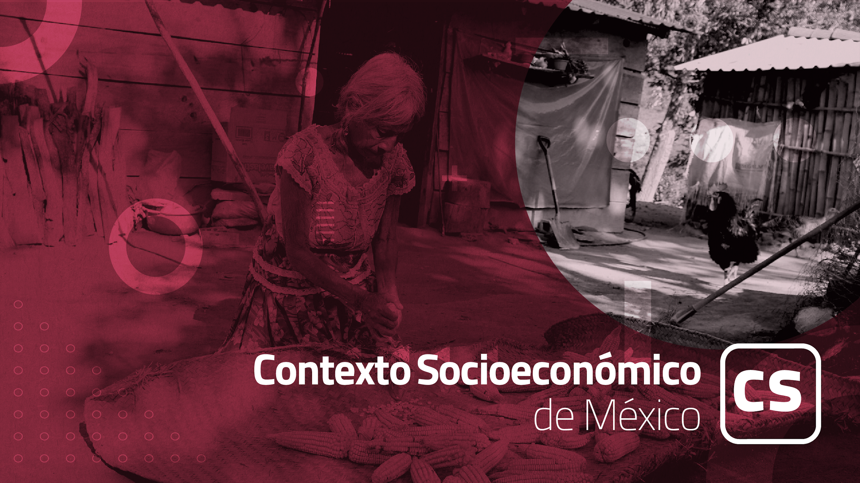 Course Image Contexto Socioeconómico de México: Principios Básicos